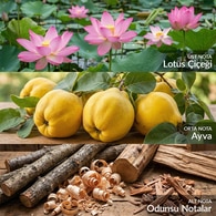  AVON AVON Avon Incandessence Lotus Kadın Parfüm EDP 50 ml  1 of 4 