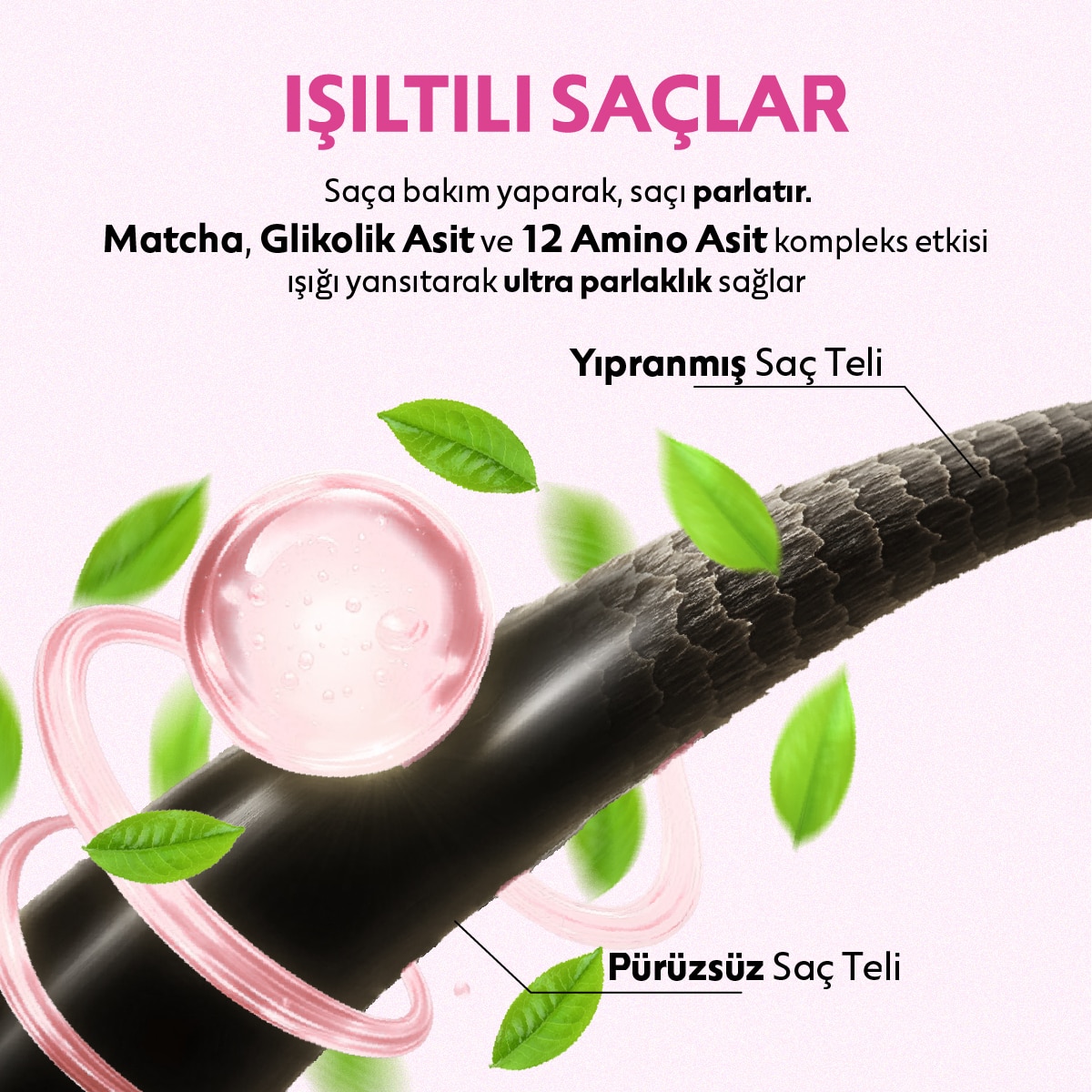  ASHLEY JOY ASHLEY JOY EXC. Ashley Joy Matcha Gloss Glikolik Asit İçeren Işıltı ve Parlaklık Veren Şampuan 400 ml  1 of 8 