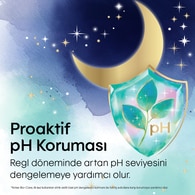 KOTEX KOTEX Kotex Hijyenik Ped Bio-Care Quadro Gece 14 Adet 1 of 6