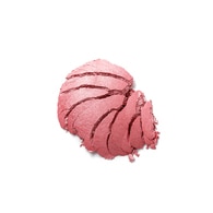Flormar Baked BlushOn Yoğun Pigmentli Fırınlanmış Allık No: 040