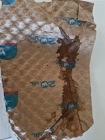 BP_1249780_enhance_review_media_5562100794 BP_1249780_enhance_review_media_5562100794