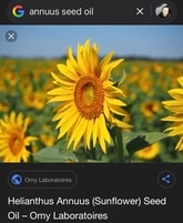 BP_1374758_enhance_review_media_6807605402