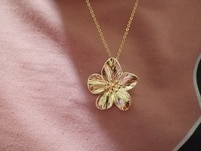 1452955_enhance_review_media_8584648