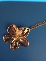 1452955_enhance_review_media_4669084