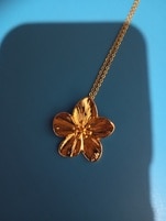 1452955_enhance_review_media_0215285