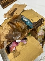 BP_1394267_enhance_review_media_7892792850